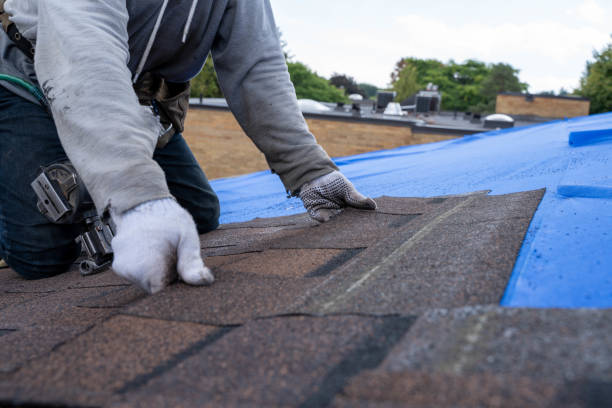 Best Metal Roofing Contractor  in Hagaman, NY