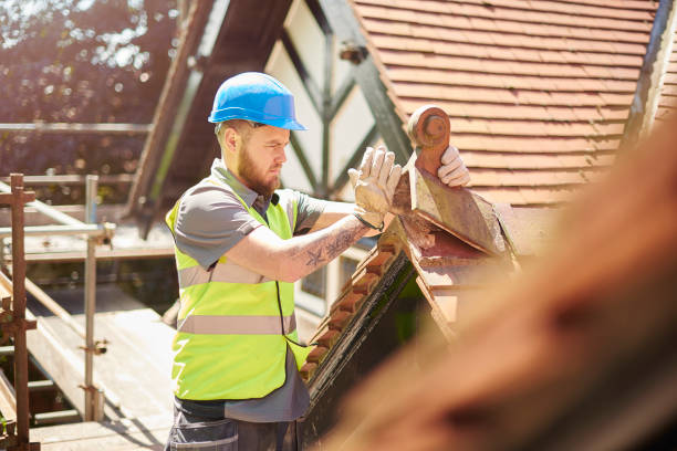 Best Roof Gutter Cleaning  in Hagaman, NY